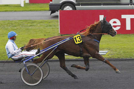 Actualités Hippiques